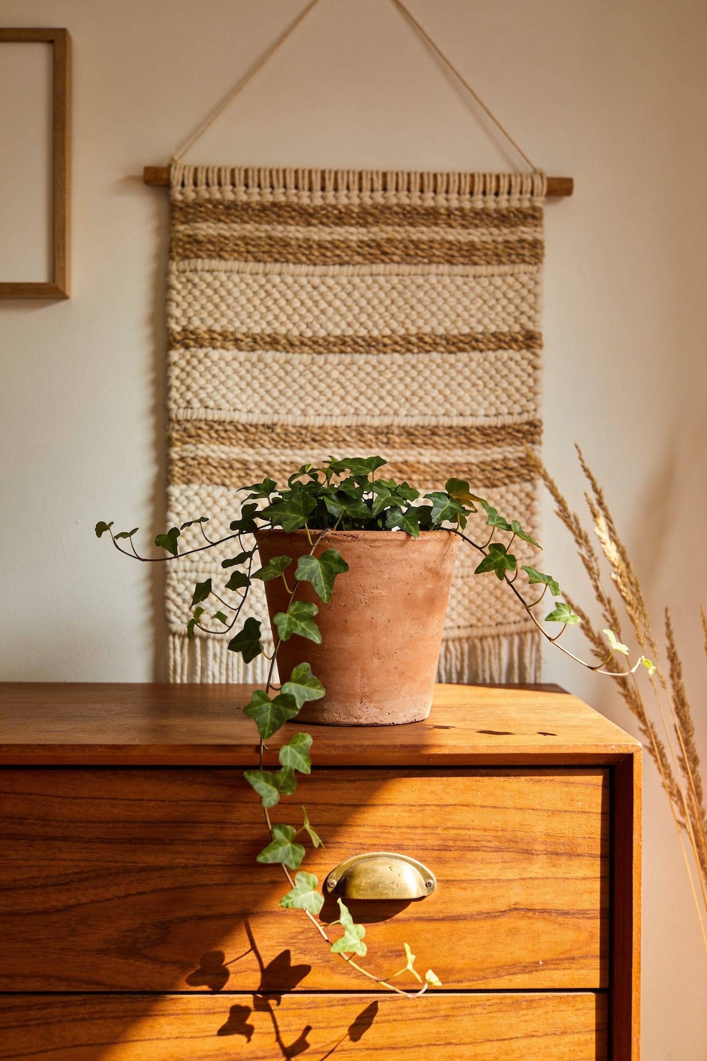 trailing plant in a terracotta pot on an earthy bedroom dresser