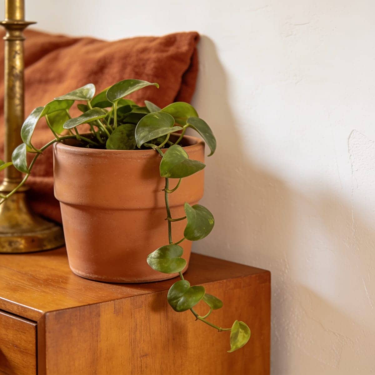 Terracotta Stoneware Planter